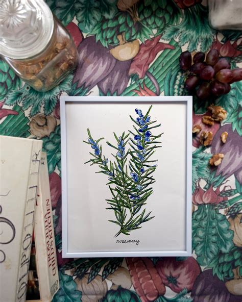 Rosemary Print Herb Art Food Illustration Botanical Art Etsy
