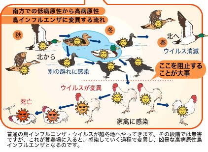 ・ キャラクターやメカ、叫竜などの多彩な設定資料 ・世 オンラインショップ、 amazon、tsutaya records（※一部店舗除く）/tsutaya オンライン ※上限数に達し次第、販売終了となります。 日本野鳥の会 : 正しく理解しよう 鳥インフルエンザ