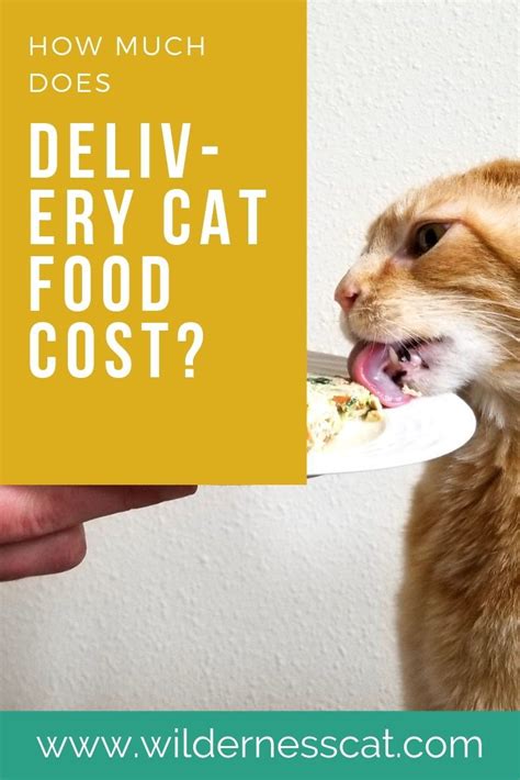 We researched the best options to suit your pet's dietary needs. How Much Does NomNomNow Cat Food Cost? | Cat food, Best ...