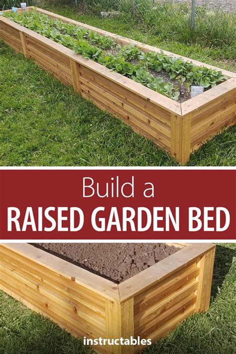 Build A Raised Garden Bed Building A Raised Garden Raised Garden