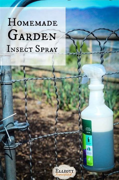 Organic Bug Spray Recipe Gardens Bug Spray Recipe And