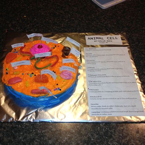 Label parts and thousands of other science skills. Edible Animal Cell ~ 7th grade Project | Edible animal ...