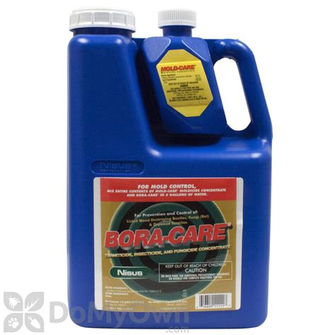 Check their identification and credentials!!! Bora-Care with Mold-Care