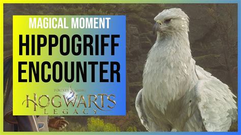 Hogwarts Legacy Magical Moment First Encounter With A Hippogriff
