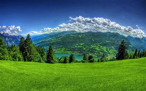 Switzerland Scenery Mountains Sky Walenstadt Grass Fir Nature High