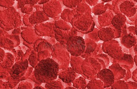 Red Blood Cells Background Stock Photo Image Of Abstract 4337374