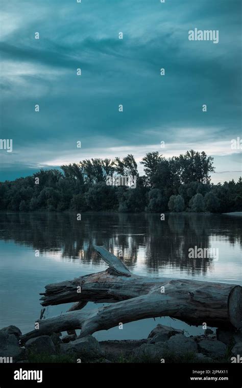 The Vertical View Of Trees By The Lake Under The Cloudy Sky Stock Photo