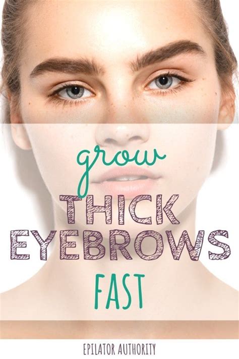 How To Grow Eyebrow Hair Back Fast The Ultimate Guide In 2020 How To