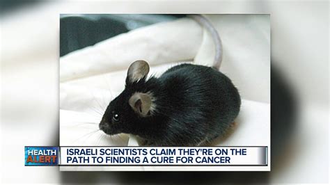Cure For Cancer Israeli Scientists Say They May Have Found One Youtube