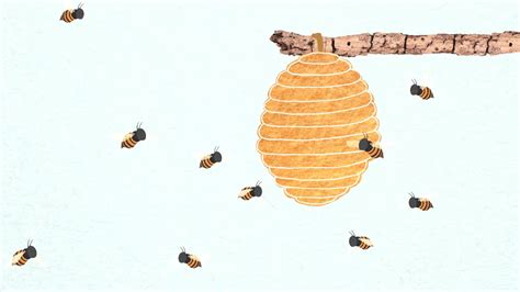 Cartoon Beehive  Choose From 620 Cartoon Bee Graphic Resources