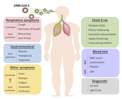 Ijms Free Full Text A Review Of Sars Cov And The Ongoing Clinical Trials