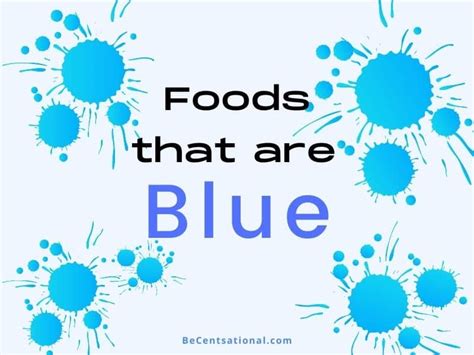 19 Foods That Are Blue Full List Becentsational