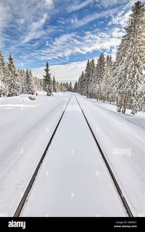 Railroad Tracks In Snow Winter Landscape Stock Photo Alamy