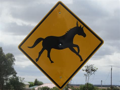 Horse Crossing Road Sign Horse Crossing Road Sign Near Kei Flickr