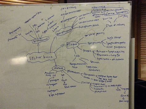 Medical Concept maps : Infectious Diseases