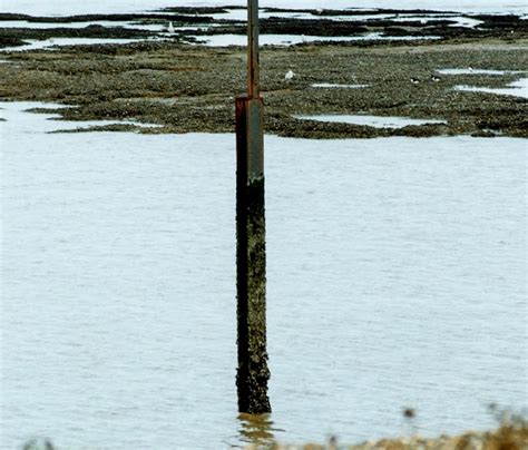 Treetops fiction contains engaging novels from top authors and illustrators with the variety children need to develop a love of reading! Turn Left at Bognor Pier: Walk 32 -- Birchington-on-Sea ...