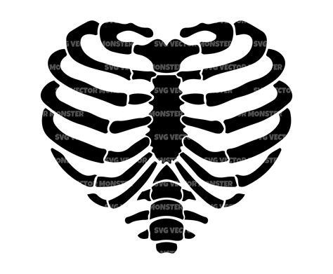 Heart Rib Cage Svg Human Skeleton Svg Vector Cut File For Etsy Free