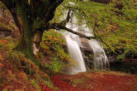 Hd Rocks Fall Waterfall Stream Forest Autumn Hd Pictures Wallpaper