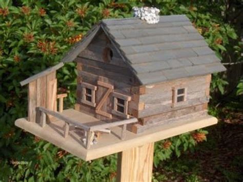 Bluebirds usually begin nesting in march, the incubation period being about 14 days. Birdhouse Designs for Different Species || The Birdhouse ...
