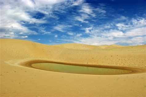 Desert And Water Stock Photo Image Of Plants White 17055904