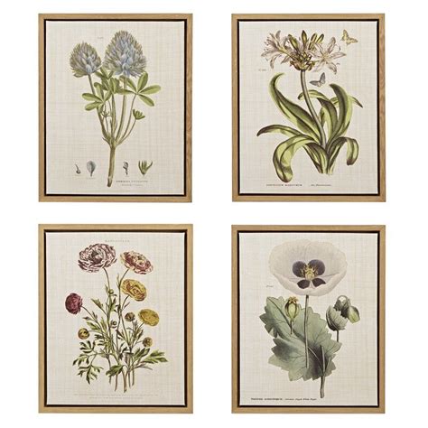 Martha Stewart Herbal Botany 4 Piece Botanical Illustration Framed
