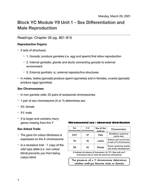 Yc Y9 Unit 1 Lecture Notes Block Yc Block Yc Module Y9 Unit 1 Sex Differentiation And Male