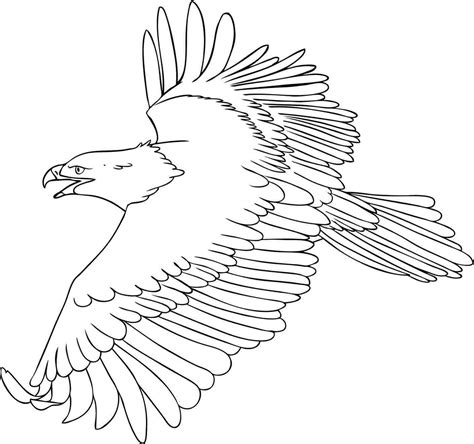 Dibujos De Aguilas Para Colorear
