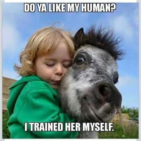 25 Funny Horse Memes Thatll Keep You Smiling Through The Rest Of This