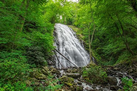 We did not find results for: Where to Find Waterfalls Near Charlotte | neighborhoods.com