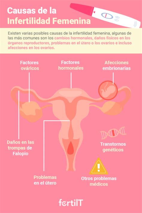 Infertilidad Femenina Causas Síntomas Y Tratamiento