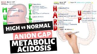 Acid Base Mnemonic For Anion Gap Metabolic Acidosis Qu Doovi