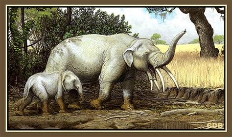 Palaeoblog Megistotherium And Karianne