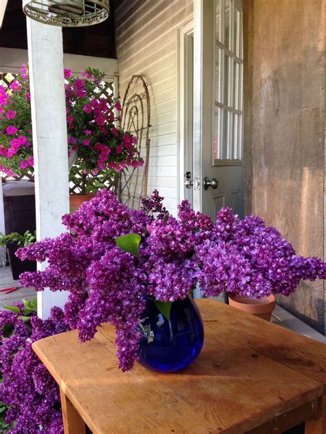 Love Lilac Season Lilacs Arrangement Bouquet Seasons Shutter