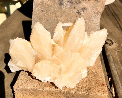 440g Golden Yellow Dogtooth Calcite Crystal Cluster Mineral Display