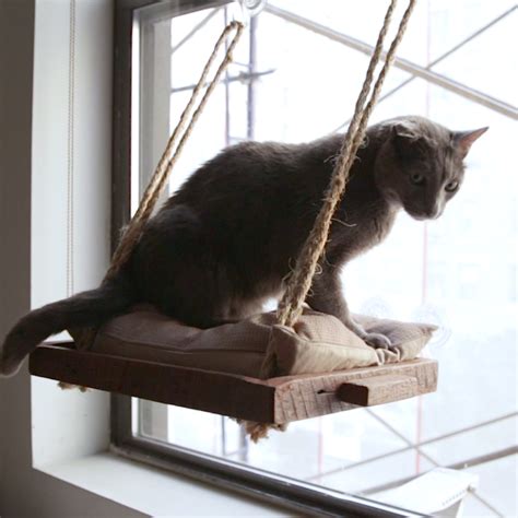 Kitty cot original world's best cat emma is a freelance writer, specializing in writing about pets, outdoor pursuits, and family living. DIY Cat Window Perch | Nifty Pets
