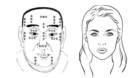 Chinese Face Reading Basics — Picture Healer Feng Shui And Fortune