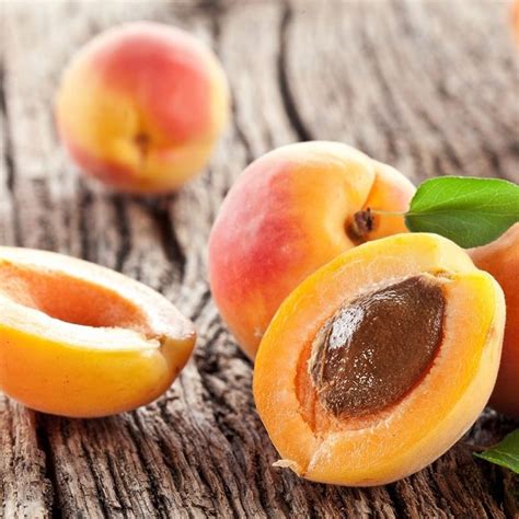 Dried Apricots | Buy Dried Apricots in Bulk from Food to Live