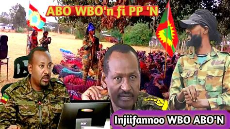 Oduu Owituu Waraana Motummaa Ppn Fi Waraana Billisumma Oromoo Abo Wbo