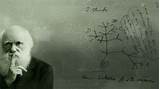Images of Charles Darwin Theory Evolution Of Man