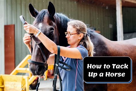 How to Tack Up a Horse - Guide For English & Western Riders