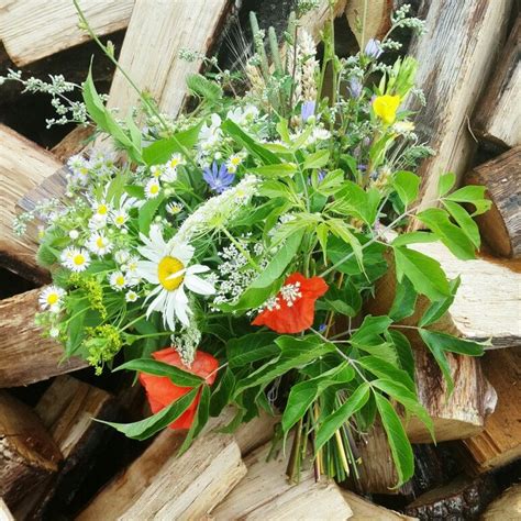 Field Bouquet Plants Bouquet Field