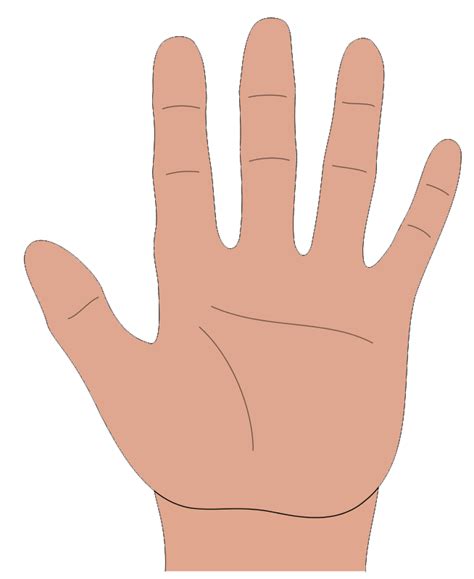 Free Clip Art Hand Download Free Clip Art Hand Png Images Free