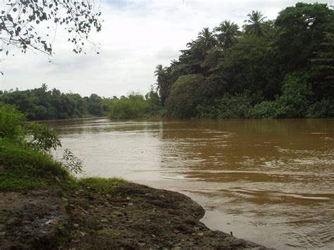 Kelani River Columbo Sri Lanka World Rivers Project