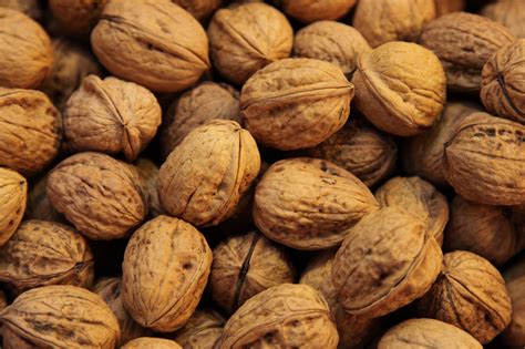 Nutritional Content In Walnuts