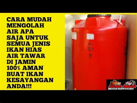 Kijing ada yang memiliki cangkang panjang dan asimetri, cangkangnya juga ada yang bulat atau kurang bulat atau dengan bentuk yang lonjong. Mengolah Kijing Besar Air Tawar - Ikan Air Tawar Terbesar ...
