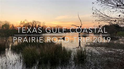Texas Gulf Coastal Prairies And Marshes Road Trip 2019 Youtube