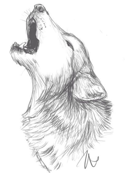 Wolf Drawing Idea Wolf Sketch Animal Drawings Art Inspiration