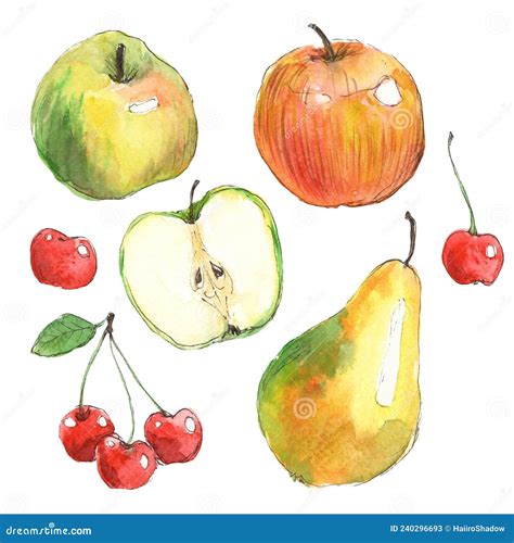 Set Of Fruits And Berries Hand Drawn In Watercolor And Isolated On A