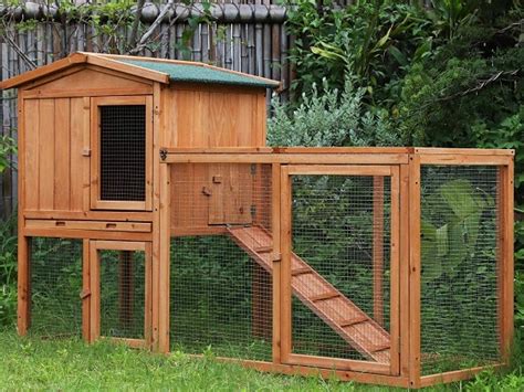 Best 6 Extra Large Outdoor Rabbit Hutch And Enclosure Reviews