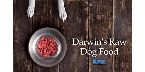 Darwins Natural Pet Products Offers The Best In Raw Dog Food